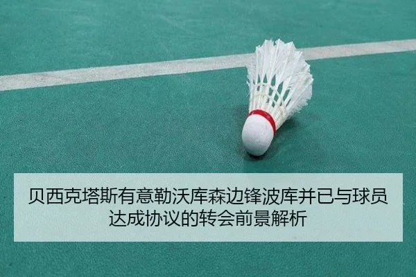 贝西克塔斯有意勒沃库森边锋波库并已与球员达成协议的转会前景解析
